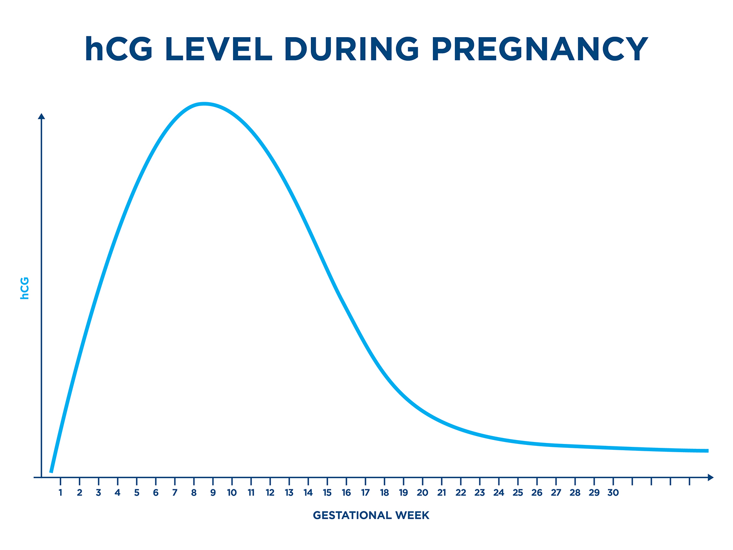 A graph showing hCG levels during pregnancy with the gestational weeks on the x axis and hCG levels on the y axis