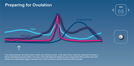 Preparing for Ovulation